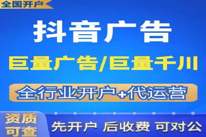 竞价托管与SEO结合的案例分析